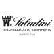 Saladini
