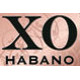 XO Habana XO Habana