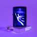 Зажигалка бензиновая Zippo (49697) Lock Ness